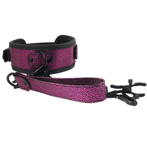 WhipSmart Dragon's Lair Collar, Leash & Nipple Clips Set